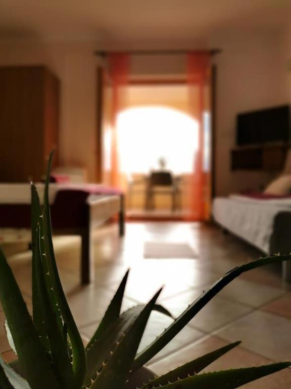 Apartments Rukelj Karlobag Zewnętrze zdjęcie
